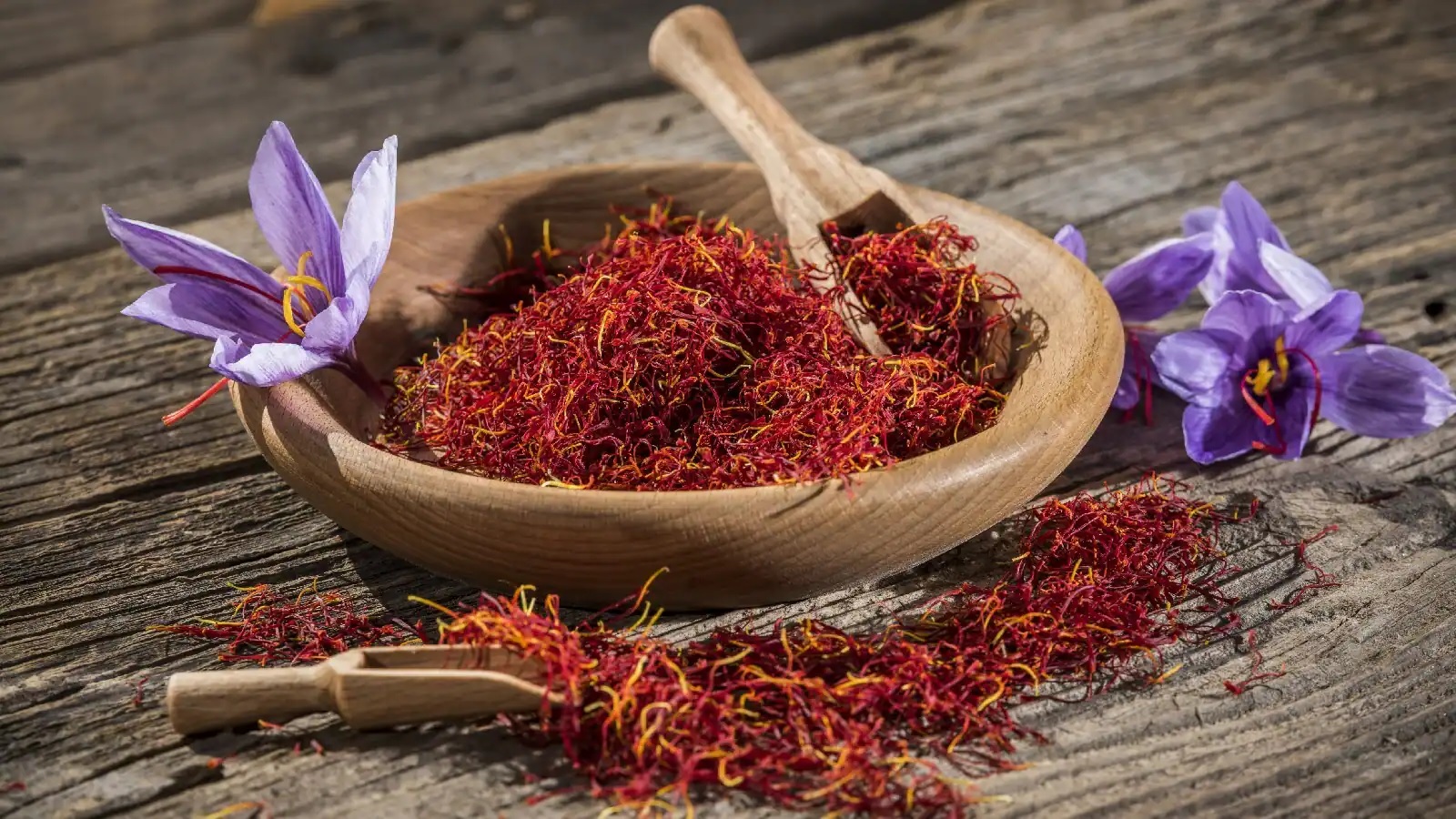Saffron can bring back the lost glow of the skin, know these unique benefits of saffron.