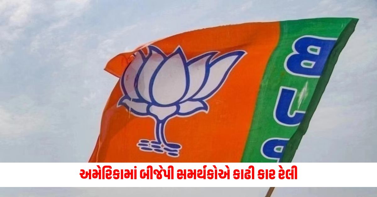 BJPSUP2