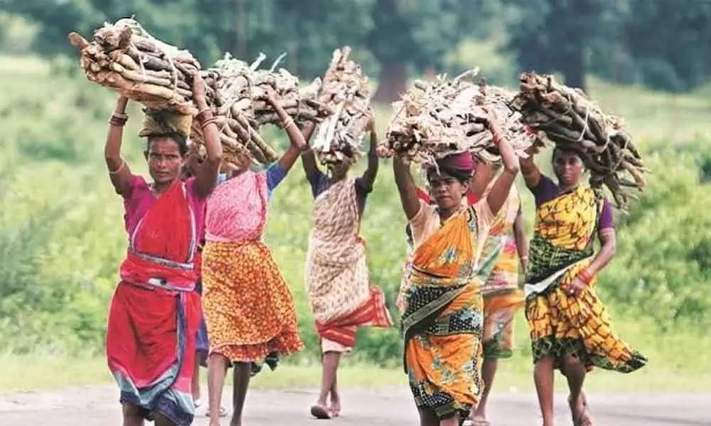 The government will spend so many crores for the development of tribal groups 1
