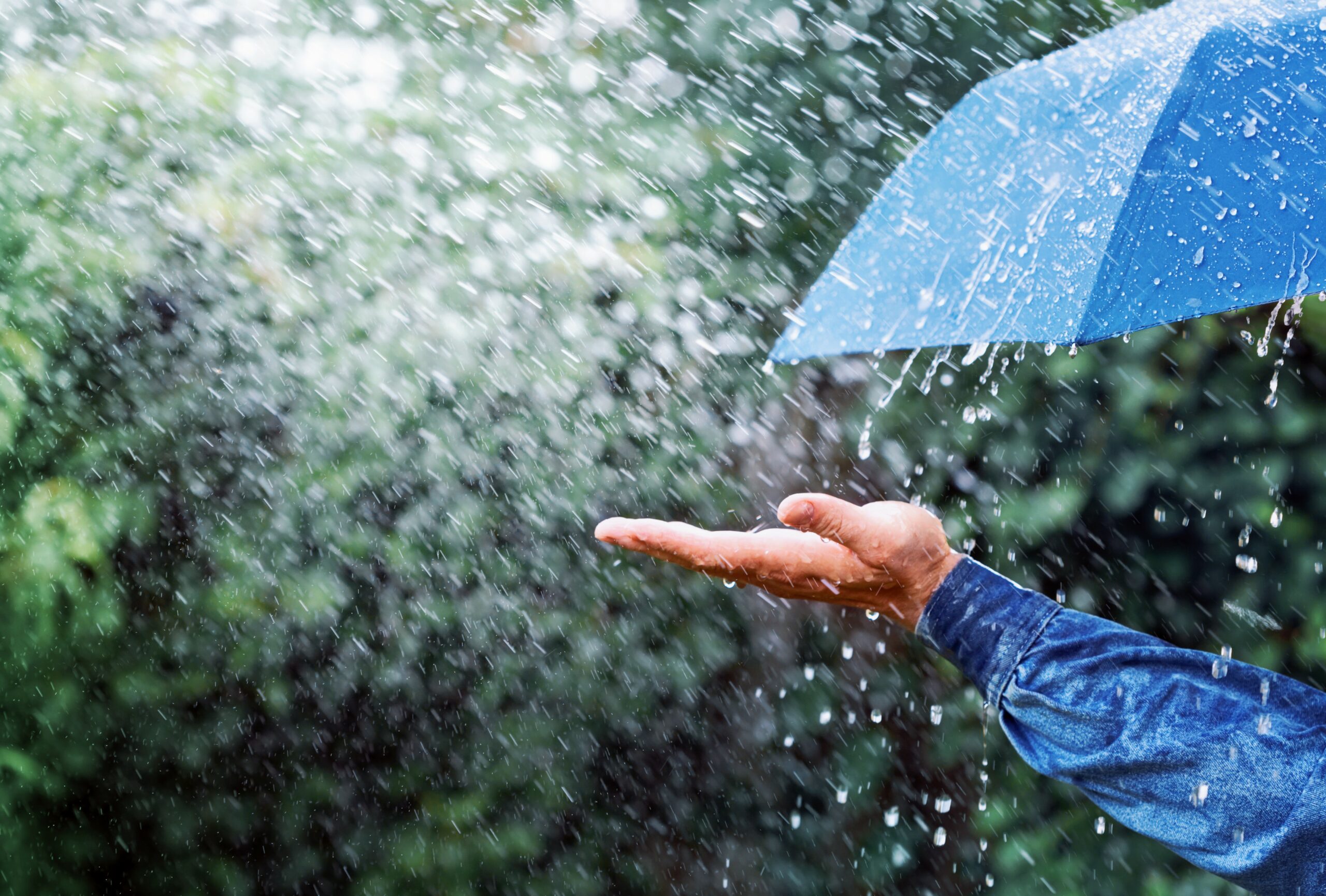 There is a threat of heat wave in some places there is a possibility of respite from the heat warning of heavy rain with thunder in these states. 5y345