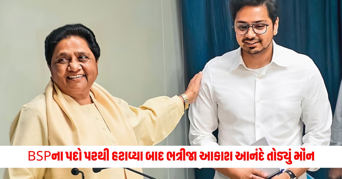 mayawati role model for entire bahujan community says akash anand
