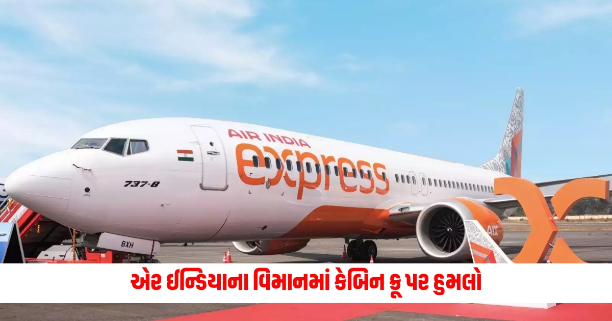 Air India plane attack on cabin crew accused passenger arrested The investigation was handed over to the IB