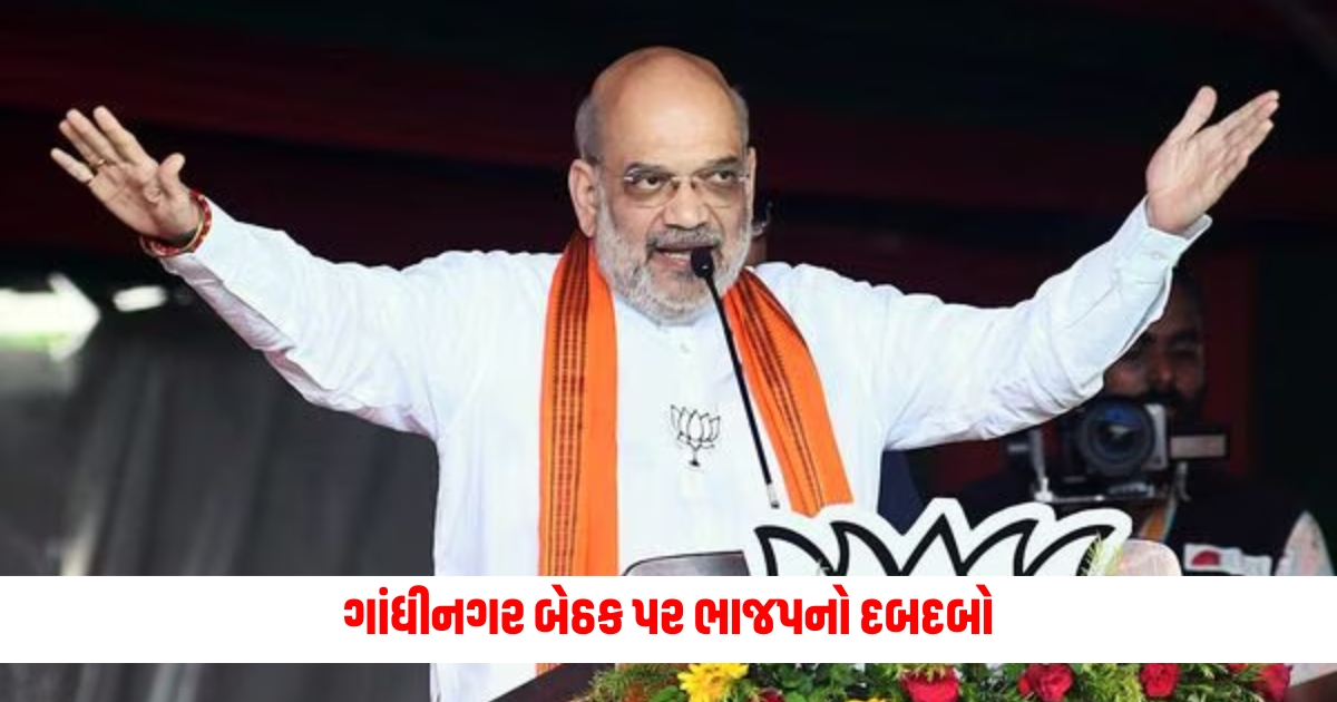 amit shah wins gandhinagar lok sabha seat 2