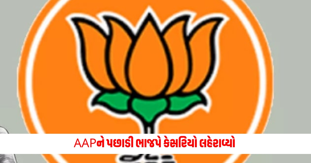 bharuch lok sabha seat election result know whether mansukh vasava or chaitar vasava won