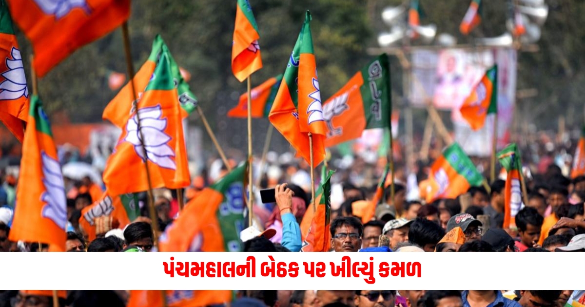 election result of panchmahal lok sabha seat gulab singh chauhan or rajpal singh jadav won f