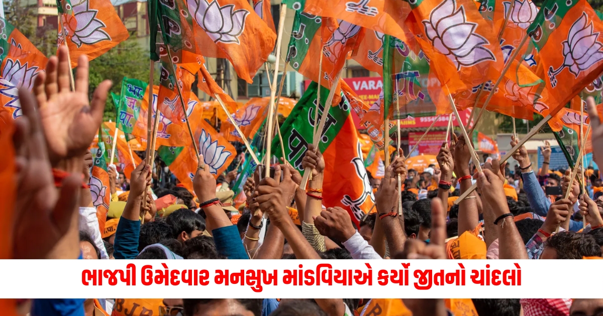 lok sabha election 2024 result live updates porbandar seat bjp candidate mansukh mandaviya won