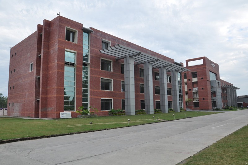 quantum university maintains 90 placement record in 2024 80 of students get excellent placements 1