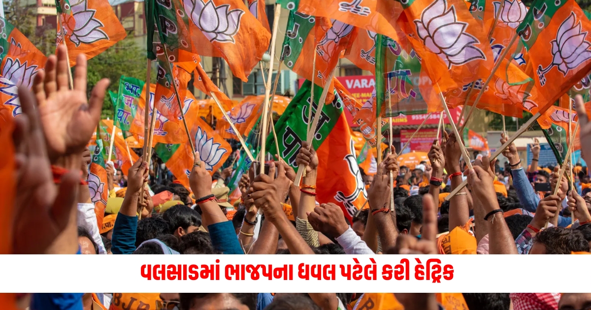 valsad lok sabha seat election result know whether anant patel or dhaval patel won
