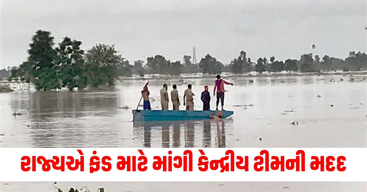 The state sought help from the central team for NDRF funds so many people were affected