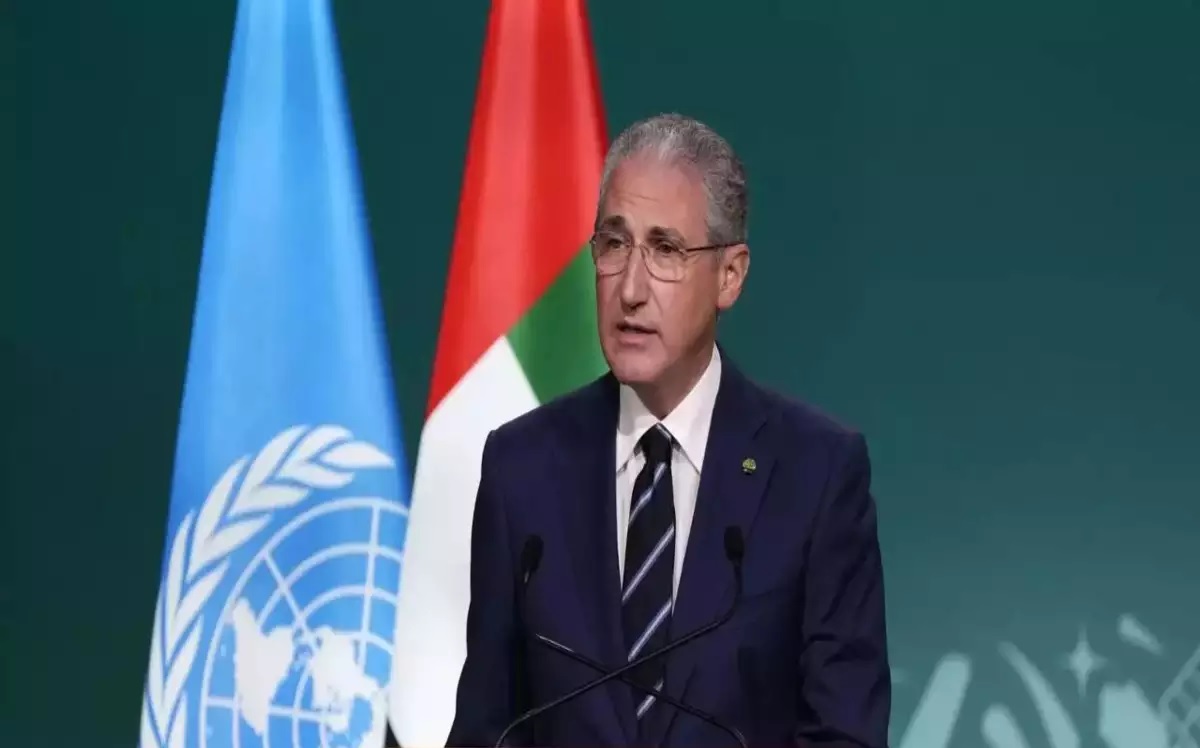 This statement was made by the President of COP29 regarding the sustainable financial goal 01