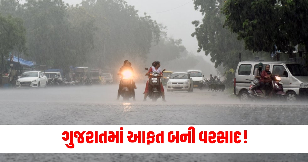 gujarat weather forecast imd issued orange alert in these districts of gujarat ahmedabad mausam f