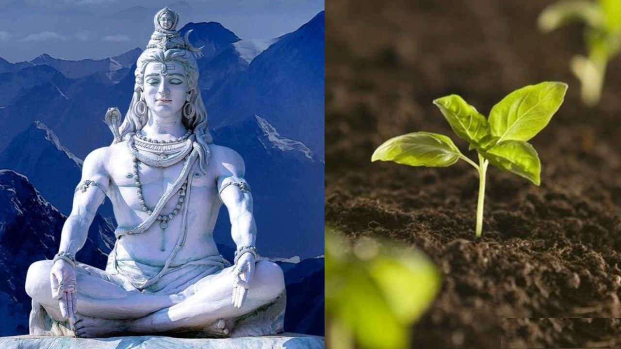 hariyali amavasya 2024 jyotish upay do this small astro remedies ancestors will be happy grah dosh nivaran 1