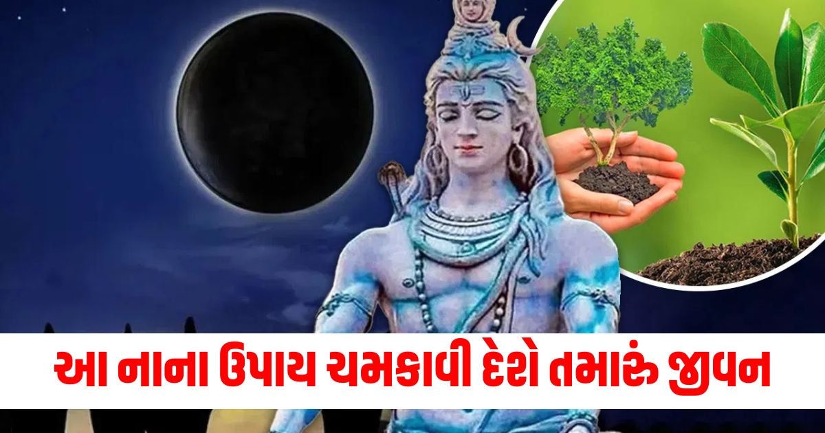 hariyali amavasya 2024 jyotish upay do this small astro remedies ancestors will be happy grah dosh nivaran