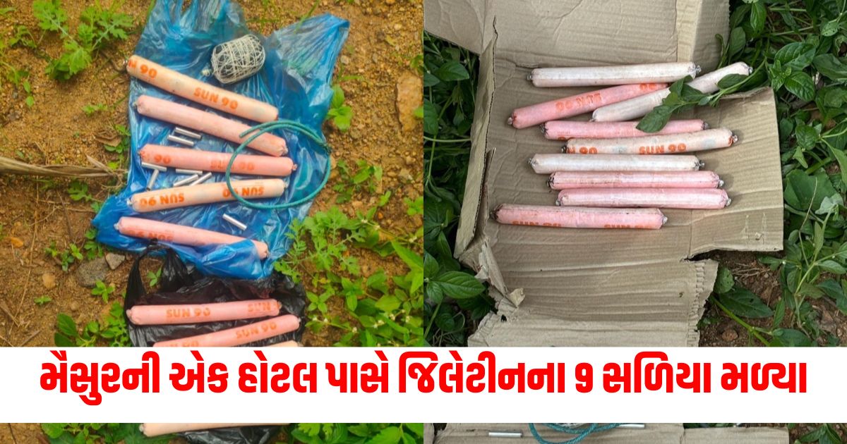 9 gelatin rods found near a hotel in mysuru police said someone must have kept them to kill pigs