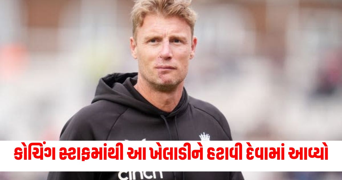 andrew flintoff part ways with england team ahead limited overs series against australia after one year stint as consultant