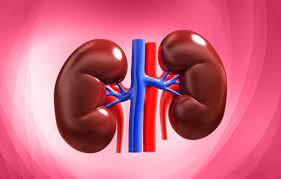 raksha bandhan 2024 precious gift to sister younger brother donated kidney to 43 year old sister rakhi parva goa21