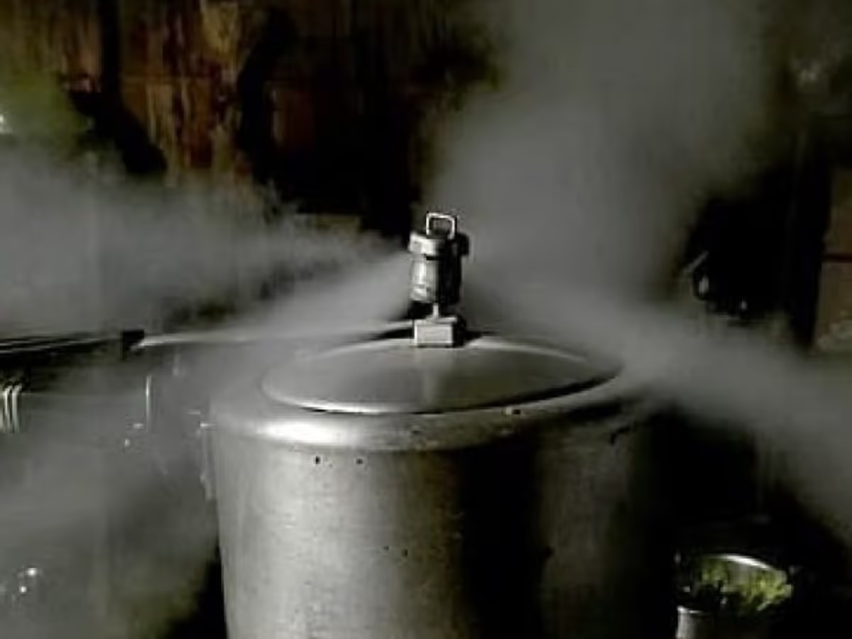 reasons that are responsible if pressure cooker is not working 2