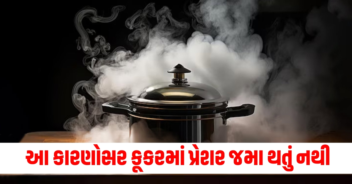 reasons that are responsible if pressure cooker is not workingf