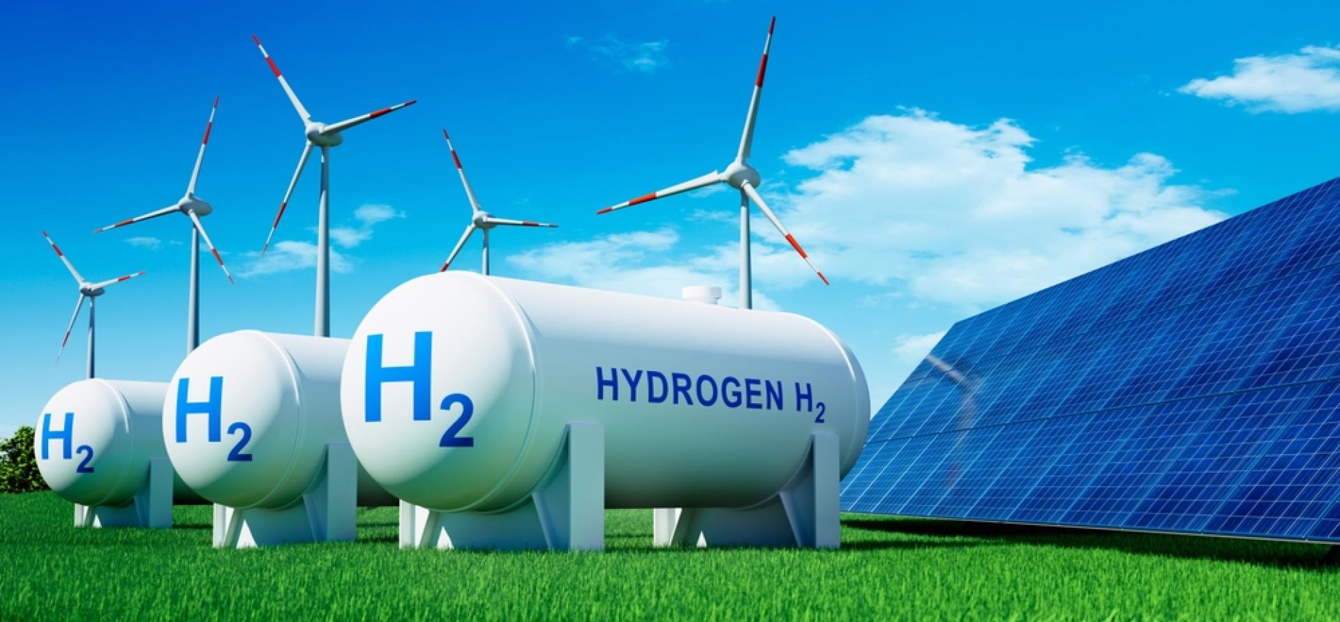 prime minister narendra modi addresses international conference on green hydrogen2