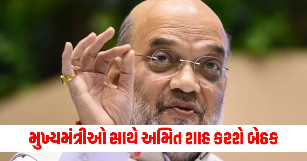 amit shah meeting with chief ministers of insurgency affected states34