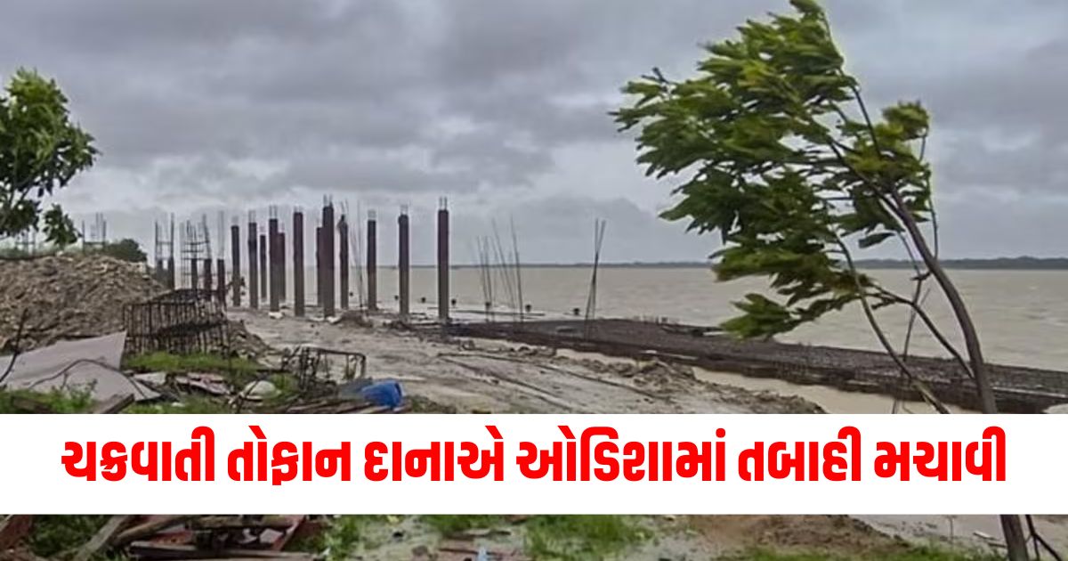 cyclone dana update odisha government informs lakh acres of crops destroyed area submerged rain
