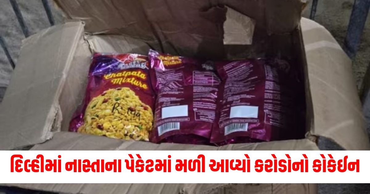 ઓએમજી, દિલ્હી, નાસ્તાનો પેકેટ, કરોડોનો, કોકેઈન, પોલીસે, પર્દાફાશ