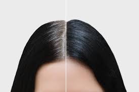 if you use dye to hide white hair then make it naturally black with these 6 methodswr
