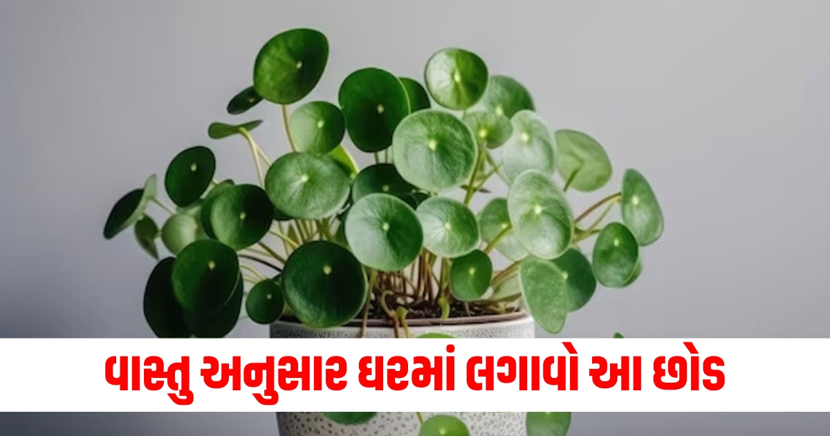 Vastu, Plants, Wealth, Prosperity, Feng Shui, Abundance, Energy,