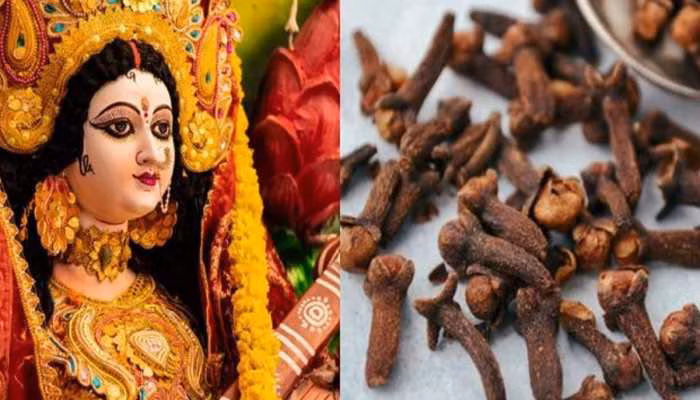 shardiya navratri 2024 upay try these simple and surefire remedies for get rid of all problems 324