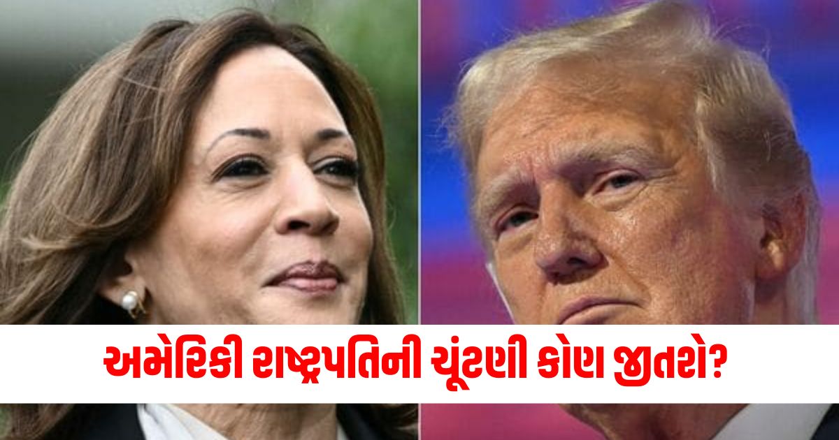 us elections survey shows donald trump taking narrow national lead over kamala harris