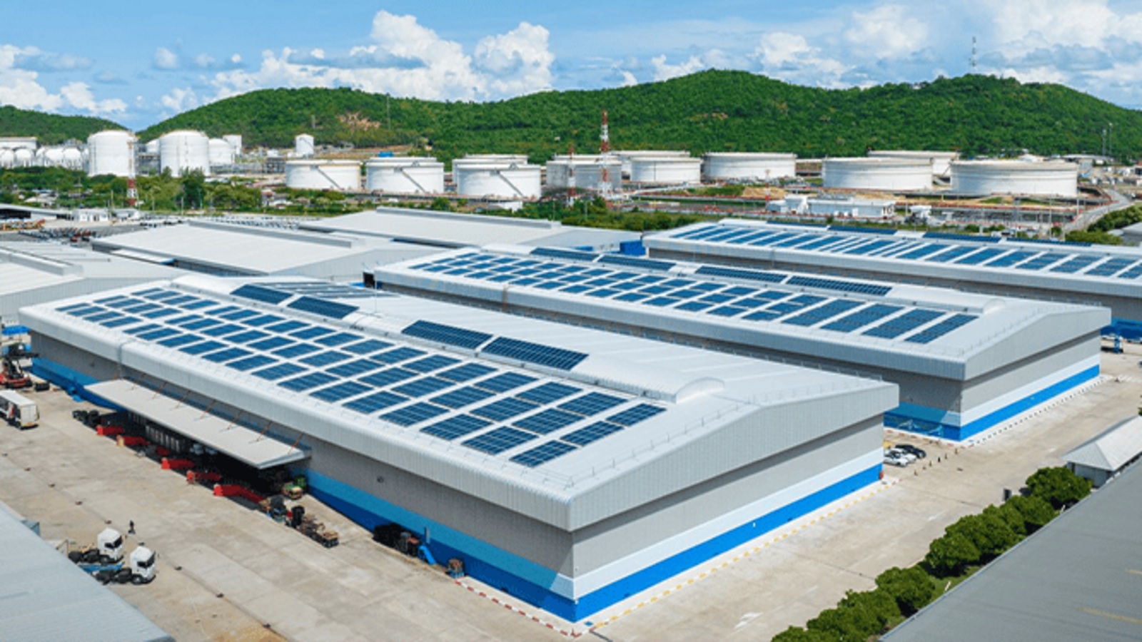 waaree energies ipo share allotment probable date breaks record today new record made with 97 34 lakh applications2