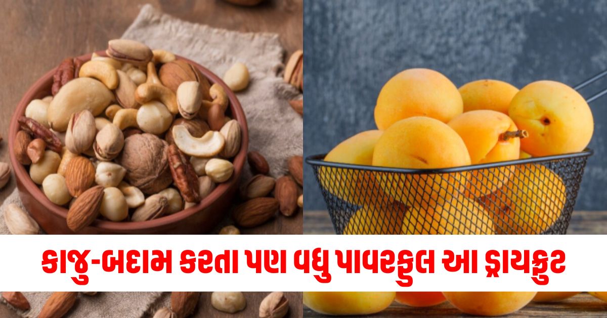 which dry fruit is more powerful than cashew almond apricot health benefits khubani khane ke fayde45