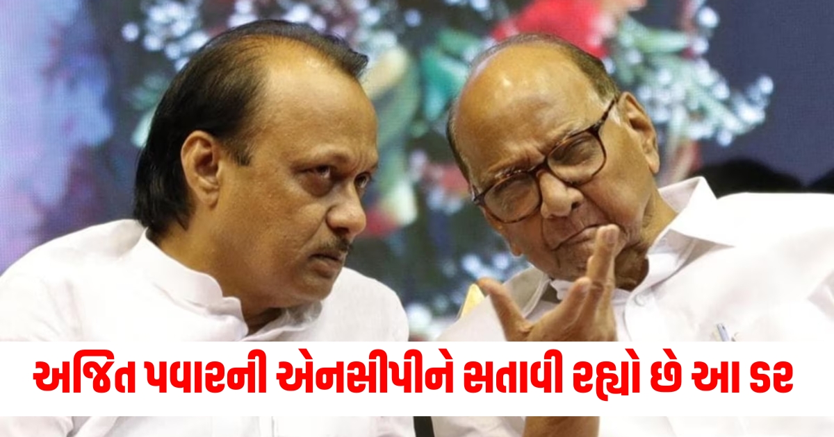 ajit pawar led ncp wants no personal comment on sharad pawar said wont tolerate 3245