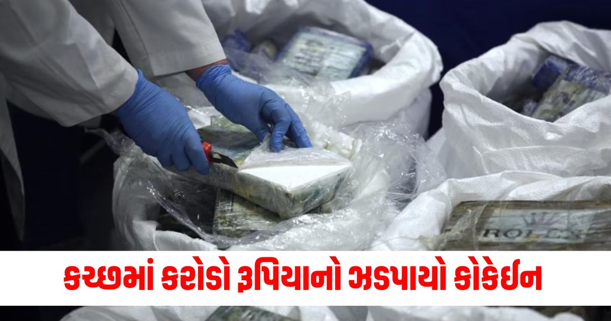 cocaine worth rs 1 4 crore seized in kutch smugglers hidden it under air filter in car 4 arrestedwer