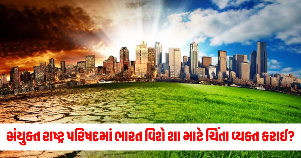 cop29 united nations conference expressed concern about india experts made special appeal weqr