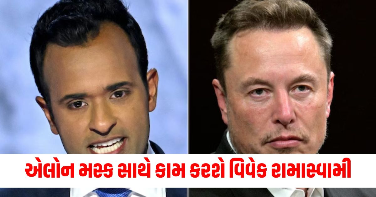 elon musk and vivek ramaswamy department of government efficiency doge donald trumpwqe