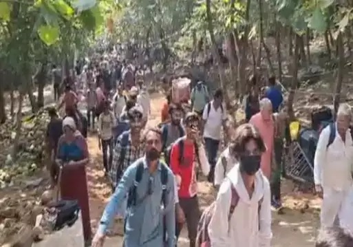 junagadh 9 people died of heart attack during girnar lily parikrama lcly rptc1