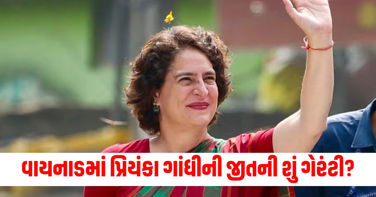low voting in wayanad can increase problems for congress how much guarantee is there of priyanka gandhi victory3