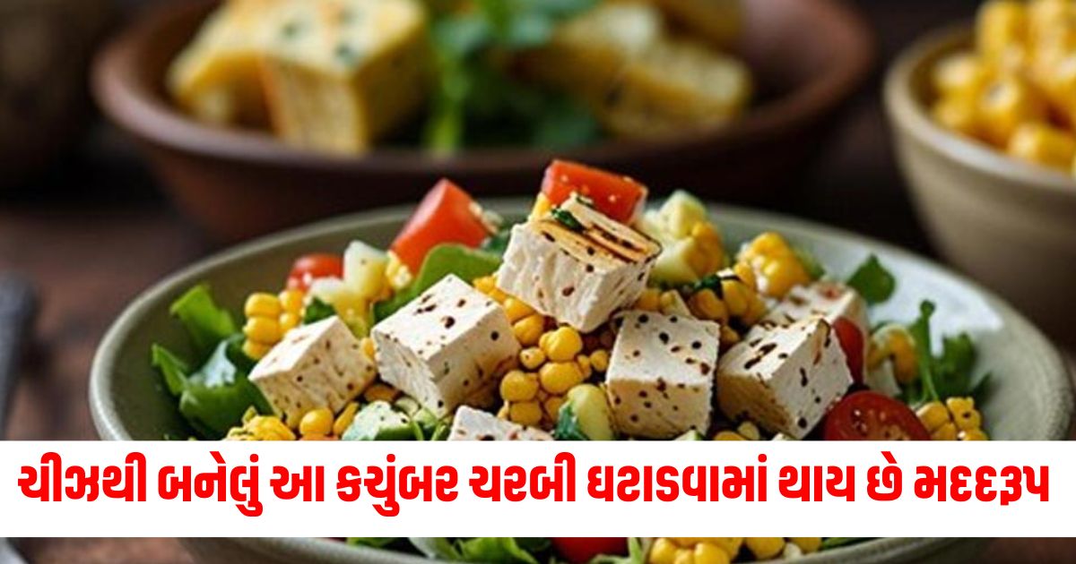 protein rich paneer corn basil salad recipe to lose weight article