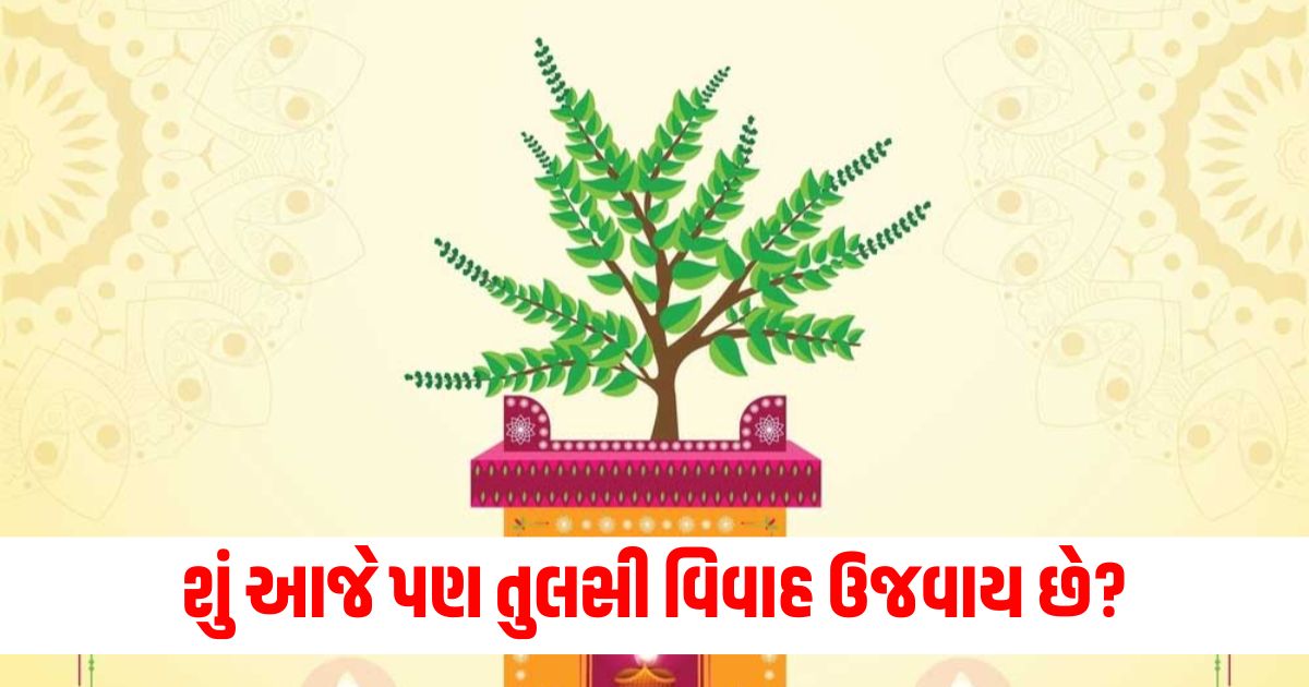 tulsi vivah 2024 date 13 november muhurat vidhi and wedding rituals tulsi shaligram vivah wqe