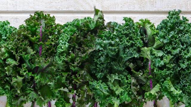 vitamin c rich foods to keep yourself healthy amid air pollution and seasonal illness werw