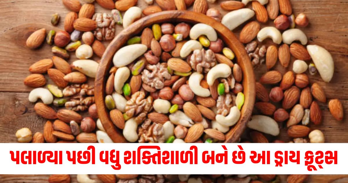 which dry fruits are more beneficial when soaked in water amazing health benefits of bhige hue dry fruits