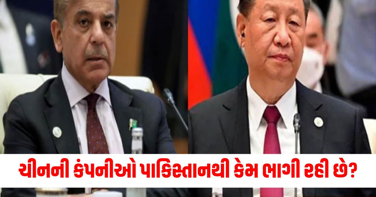 why chinese company leaving pakistan scholar qamar cheema reveals failure of pm shehbaz government