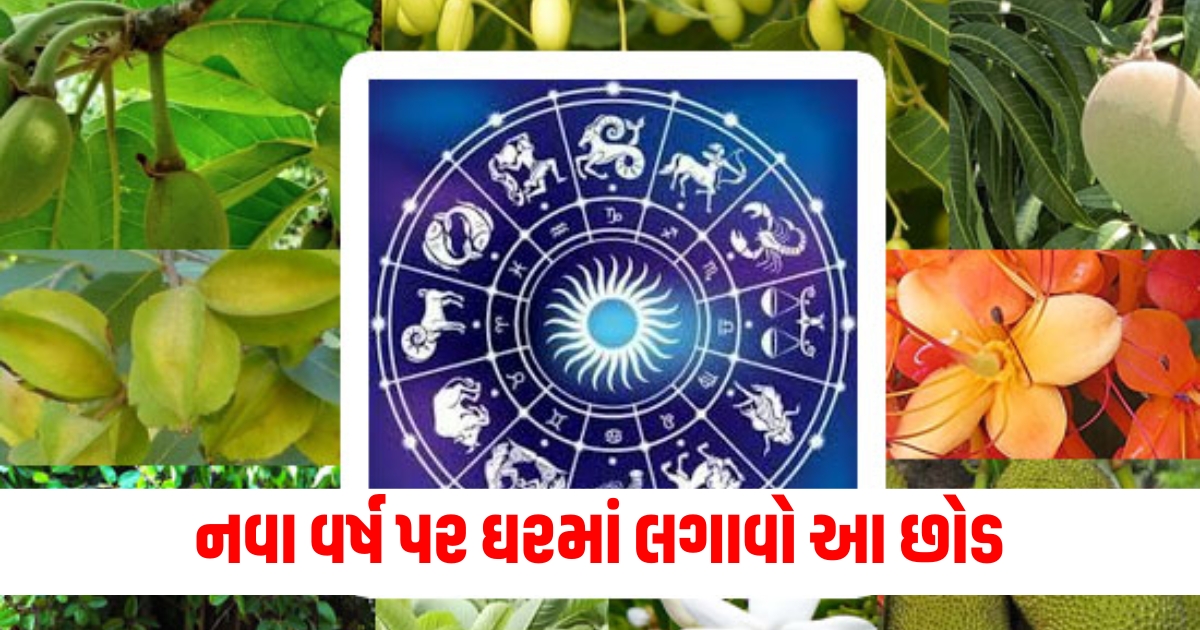 astro tips do plantation on first day of 205 according birth nakshatra you will get happiness and luck in life