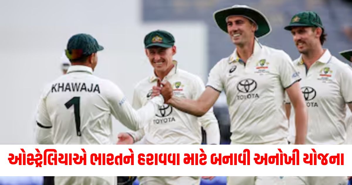 australia prepare green wicket to counter india in adelaide test reveals pitch curator border gavaskar trophy