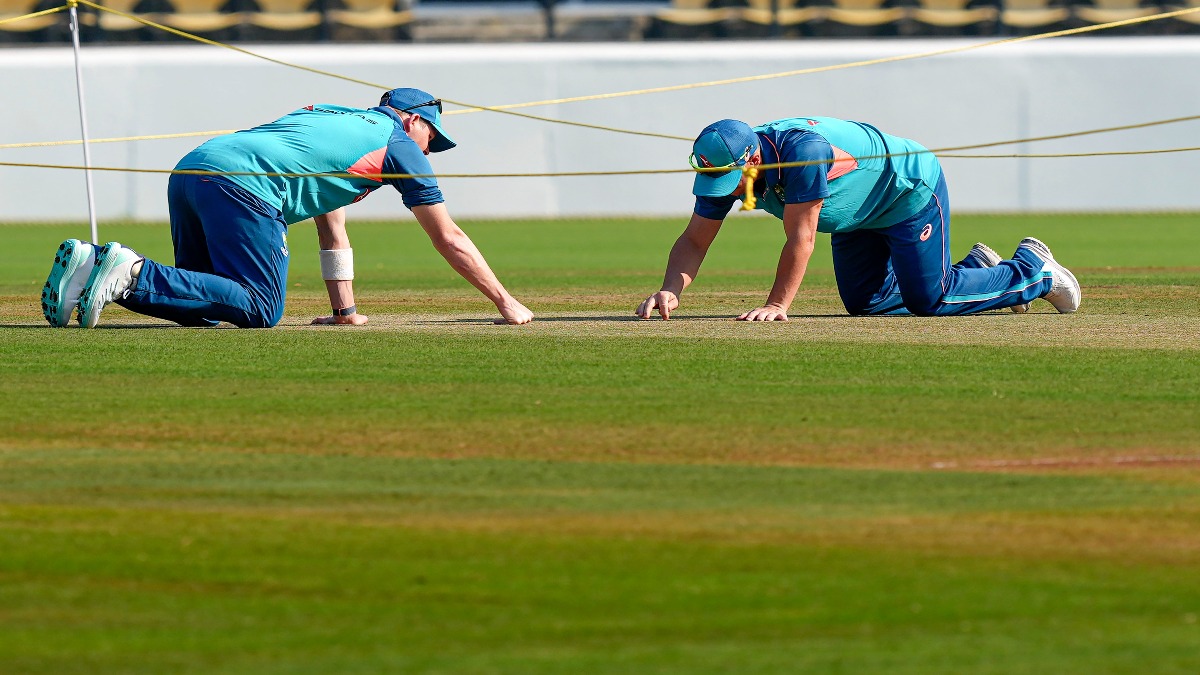 australia prepare green wicket to counter india in adelaide test reveals pitch curator border gavaskar trophy ssewr
