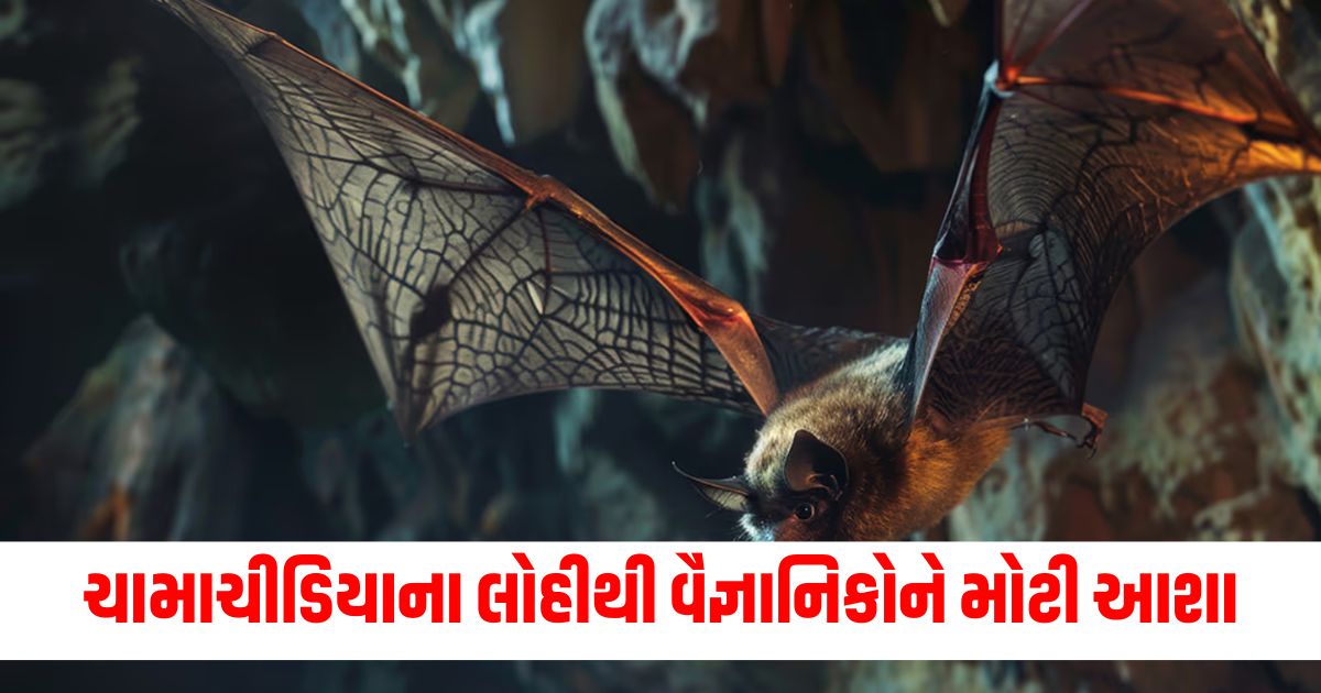 explainer bat blood might help humans in mars mission like travels wer