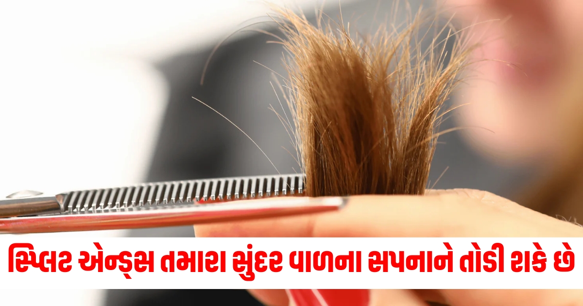 fashion beauty hair care tips follow these tips to prevent split ends