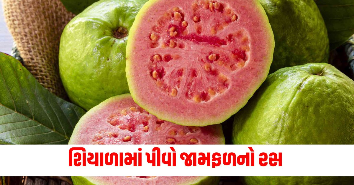 health amazing benefits of having guava juice in winterwer