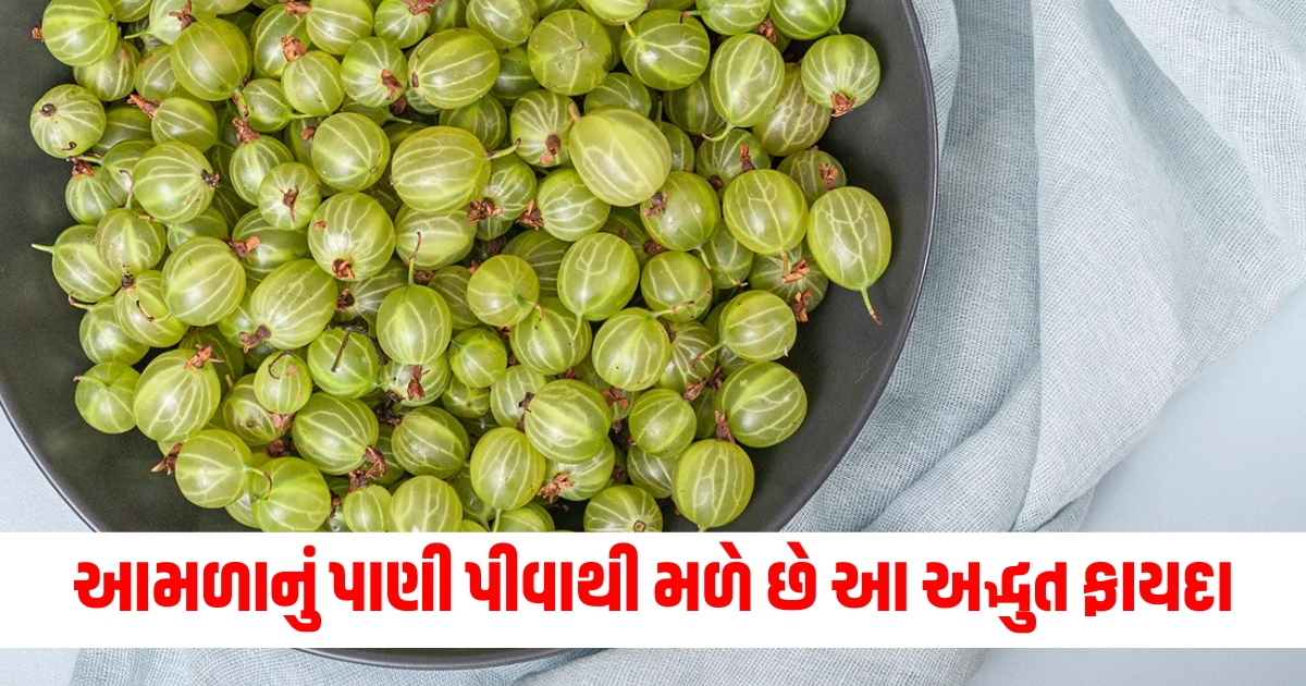 health benefit of amla water daily emblica myrobalan benefit tips to use indian gooseberry